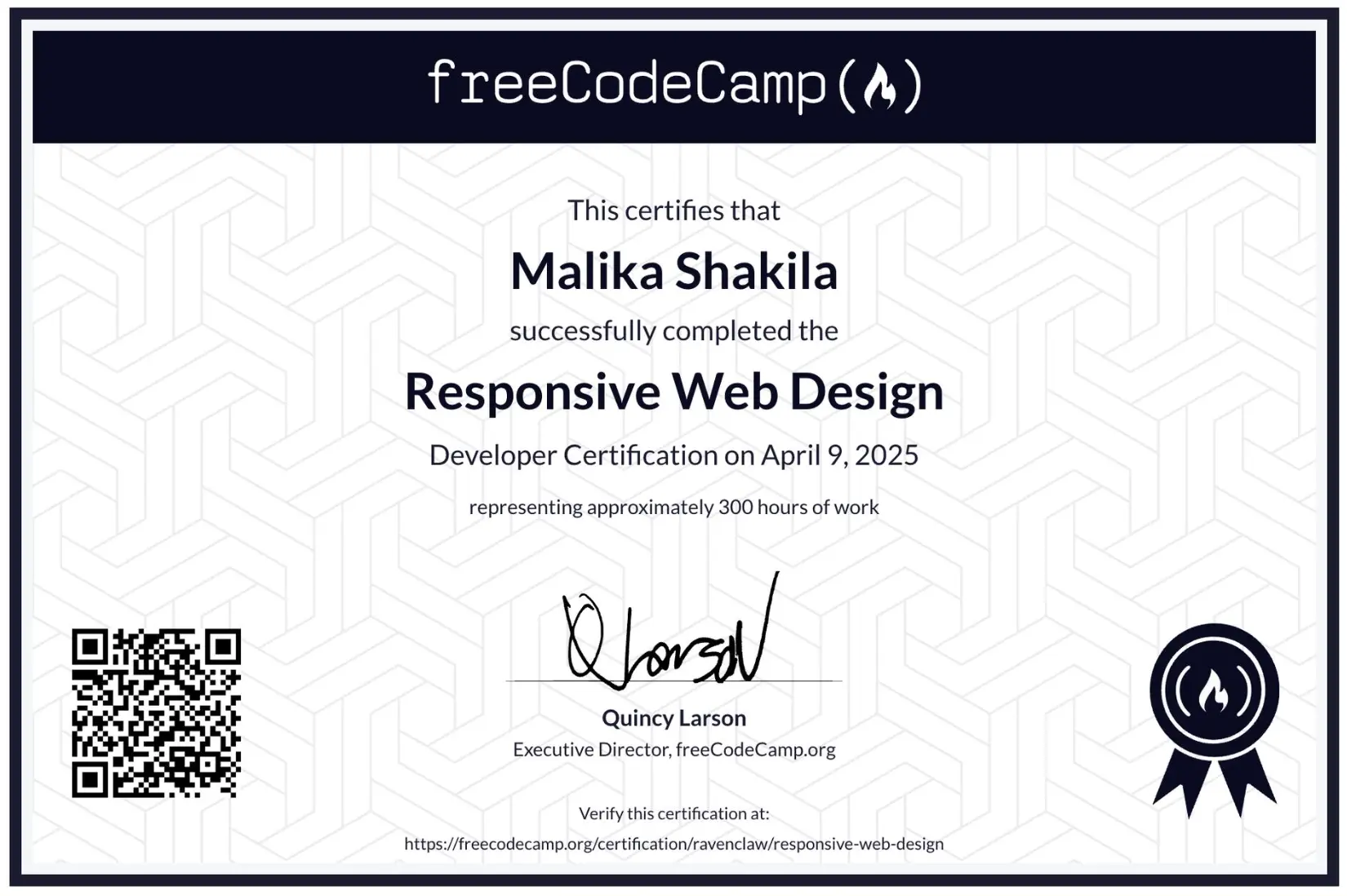 Professional Web Design trophy